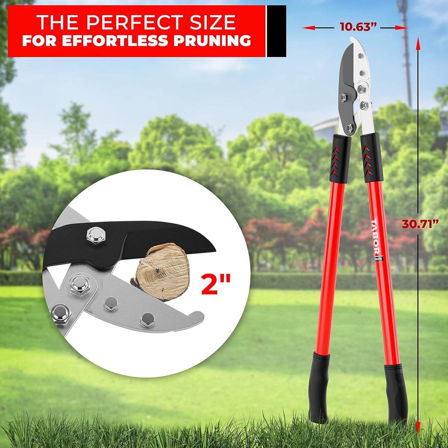 TABOR TOOLS GG12A Anvil Lopper with Compound Action, 30 Inch Tree Trimmer, Thick Branch Cutter with ⌀ 2 Inch Cutting Capacity, Chops Thick Branches with Ease.