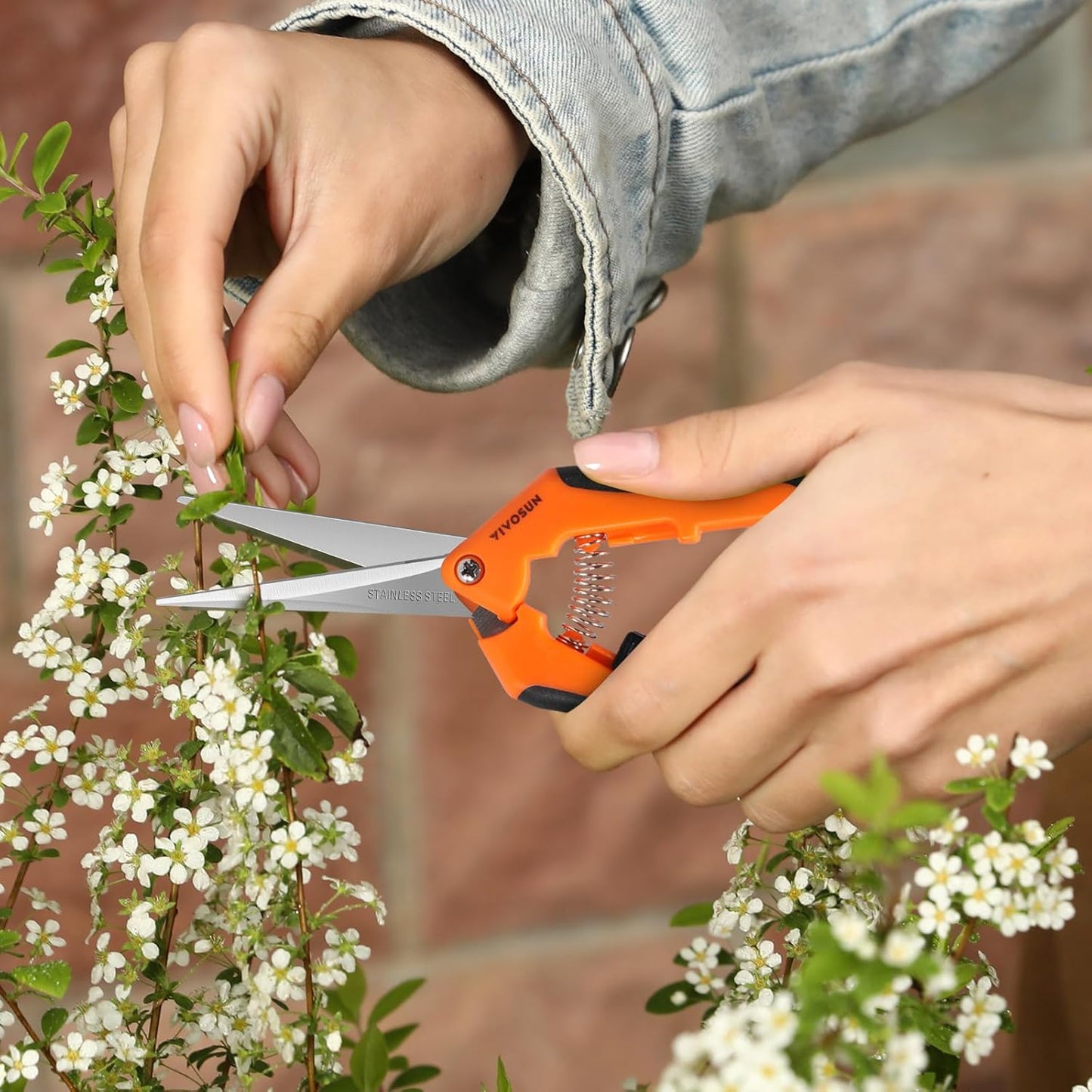 6.5 Inch Gardening Scissors Hand Pruner Pruning Shear with Straight Stainless Steel Blades Orange 1-Pack